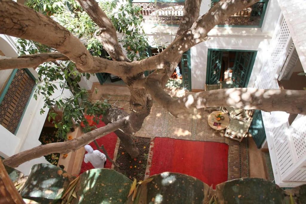 Riad Dar Zitouna Marrakesh - Entire House In Exclusivity ภายนอก รูปภาพ